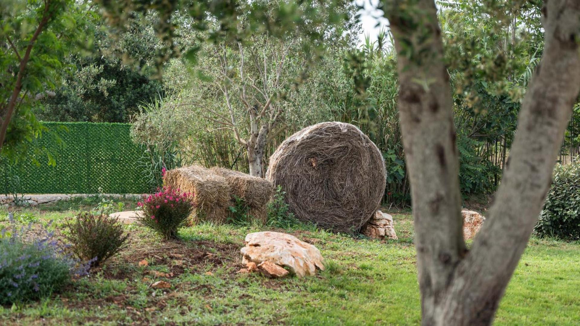Bed and Breakfast Petranima Wellness In Trulli Ostuni Exterior foto